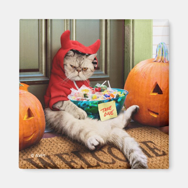 Íman Gato do Diabo (Frente)