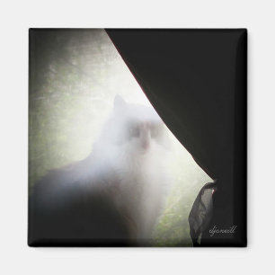 Íman Gato do fantasma da chita pelo djoneill