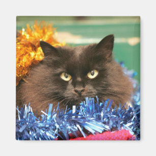 Íman Gato do Natal