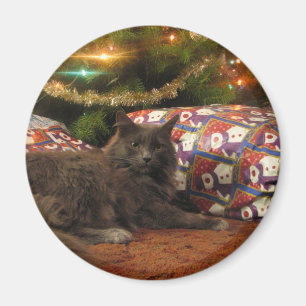 Íman Gato do Natal