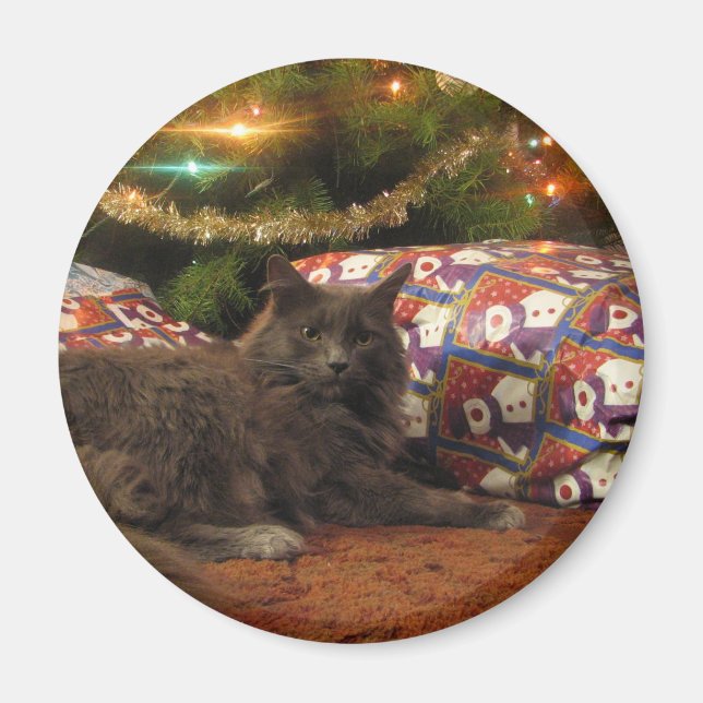 Íman Gato do Natal (Frente)