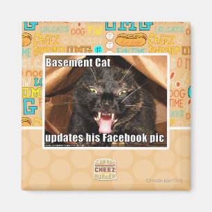 Íman Gato do porão