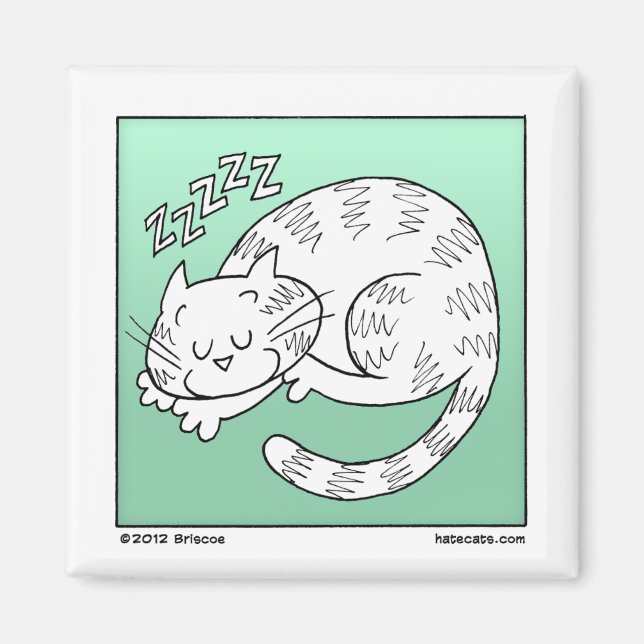 Íman Gato Dormindo (Frente)