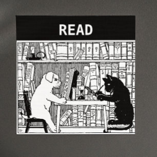Íman Gato e cão na biblioteca