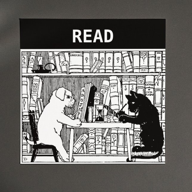 Íman Gato e Cão na Biblioteca (Criador carregado)