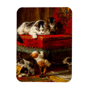 Íman Gato e Gatinhos Brincando com Cadeira