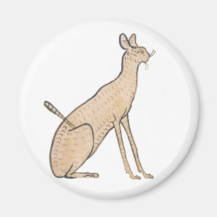 Íman Gato Egípcio
