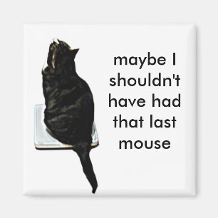 Íman Gato em escalas