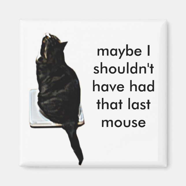 Íman Gato em escalas (Frente)