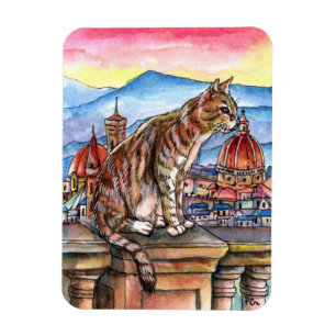 Íman Gato em Florença