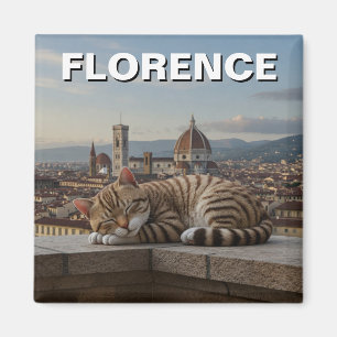 Íman Gato em Florença Itália Duomo Viagem