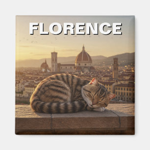 Íman Gato em Florença Itália Duomo Viagem