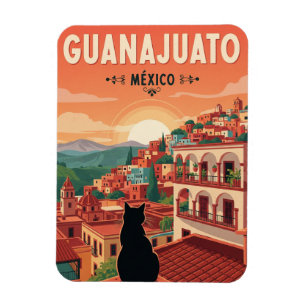 Íman Gato em Guanajuato, México