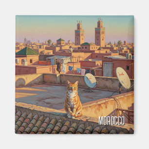 Íman Gato em Marraquexe Viagem no Marrocos