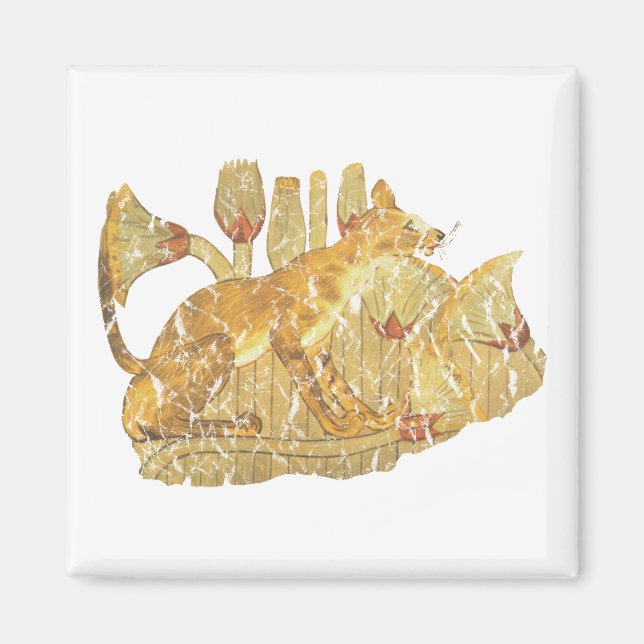 Íman gato em pântano (Frente)