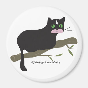 Íman Gato em um ramo