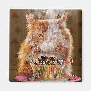 Íman Gato Engraçado Com Cupcake De Aniversário Derret