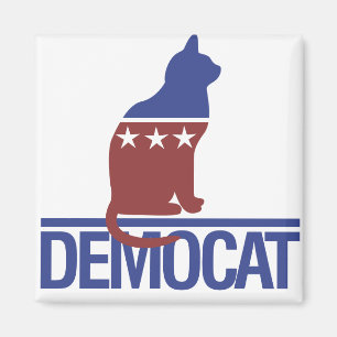 Íman Gato engraçado democratizado