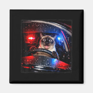 Íman Gato Engraçado Dirigindo Perseguição Policial Meme