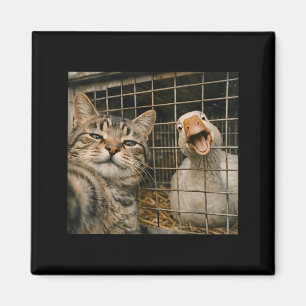 Íman Gato engraçado e selfie de ganso amizade estranha 