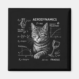 Íman Gato Engraçado Equações de Matemática e Física Hum