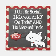 Gato Engraçado "Eu Posso Ser Social"