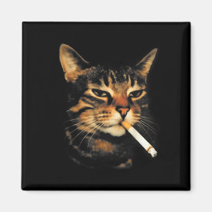 Íman Gato Engraçado Fumando Cigarro Meme Gatinho Idiota