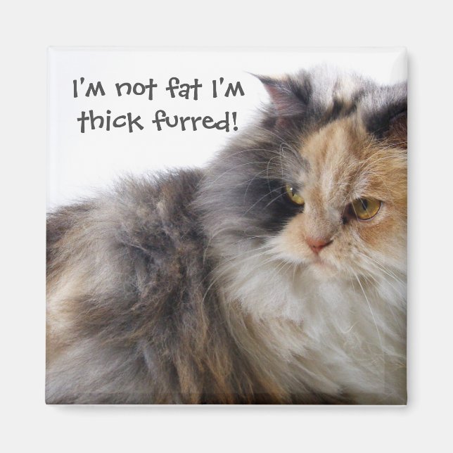 Íman Gato Engraçado Não É Gordo! Forrado espesso (Frente)
