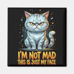 Íman Gato Engraçado Não Estou Bravo, Este é Apenas o Me