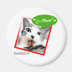 Íman gato esperto
