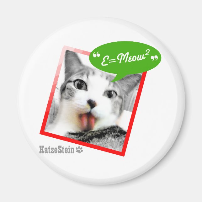 Íman gato esperto (Frente)
