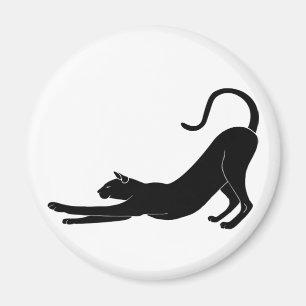 Íman Gato estendido