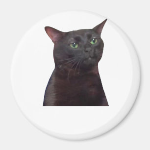 Íman Gato fora do ar, fora do ar