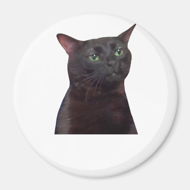 Íman Gato fora do ar, fora do ar (Frente)