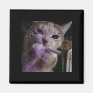 Íman Gato Fumante Engraçado, Gatinho de Cigarro, Meme Z