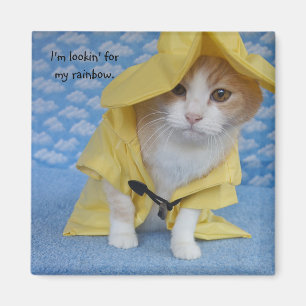 Íman Gato/gatinho no Raincoat amarelo da capa