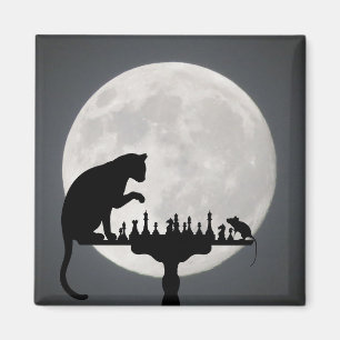 Íman Gato Gato Gato Gato