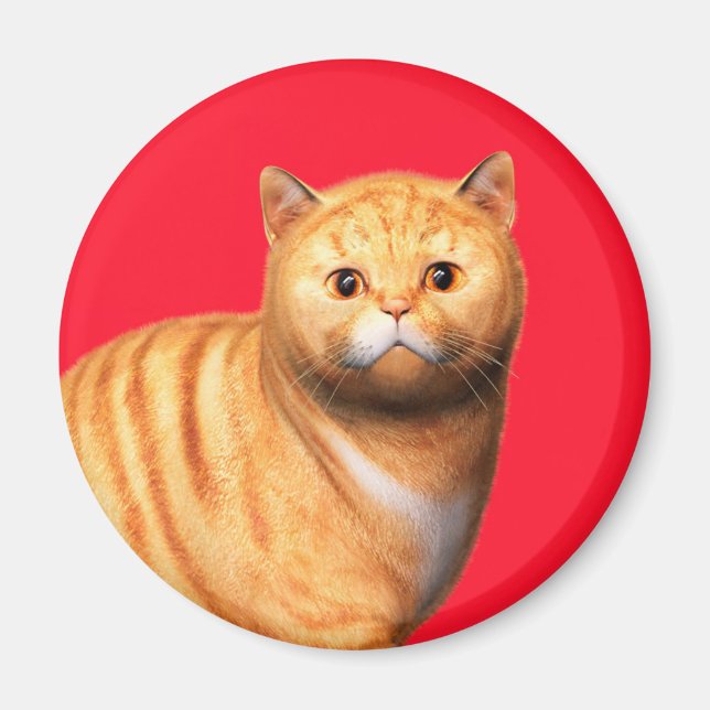Íman Gato Gengibre 3 Ímã (Frente)