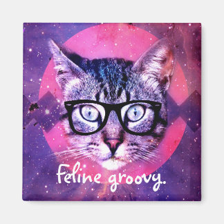 Íman Gato Groovy Ímã de Gato