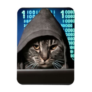 Íman Gato Hacker Preto