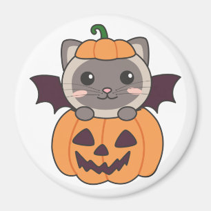 Íman Gato Halloween Pumpkin Bat Costume