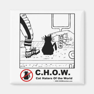 Íman Gato Hater de Futebol