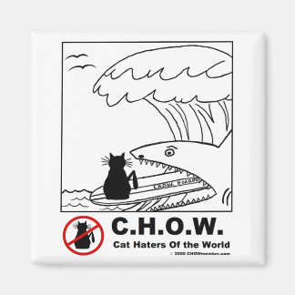 Íman Gato Hater Surfing Magnet