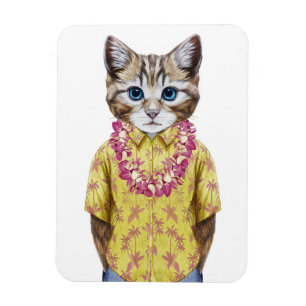 Íman Gato havaiano do gatinho