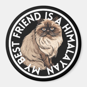 Íman Gato Himalaia Melhor Amigo
