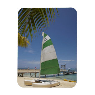 Íman Gato Hobie, Resort da Ilha Plantation