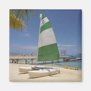 Íman Gato Hobie, Resort da Ilha Plantation