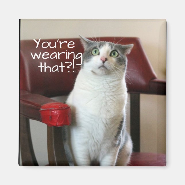 Íman Gato Horrificado (Frente)