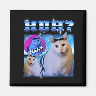 Íman Gato Huh Gato Engraçado Meme Gato Estranho Contraf