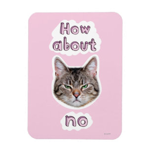 Íman Gato irritado